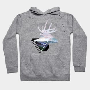 Water and Color Hoodie